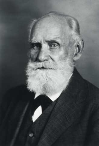 Portrait of Pavlov